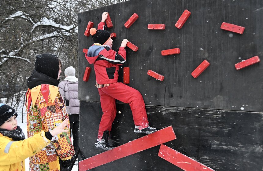 В столице завершился фестиваль "Московские сани" 15 фото