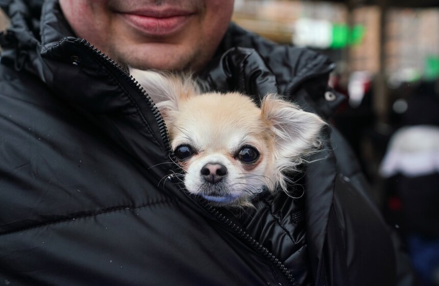 Масштабные гулянья прошли в последний день Масленицы в Москве 12 фото