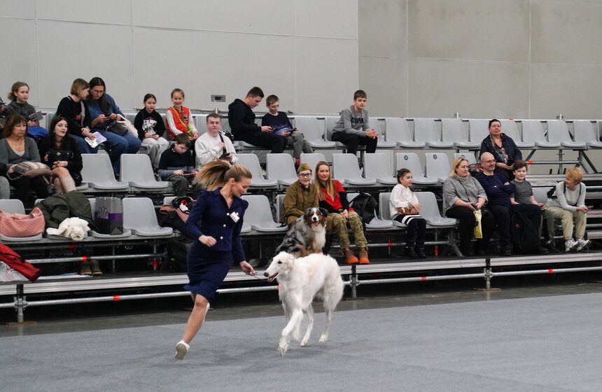 В "Крокус Экспо" прошел фестиваль "Зоофест 2026" 4 фото