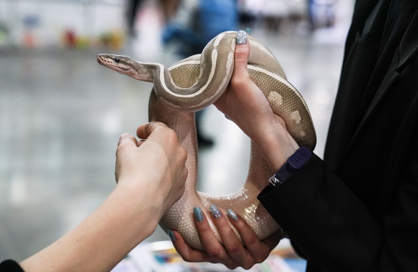 В "Крокус Экспо" прошел фестиваль "Зоофест 2026" 10 фото