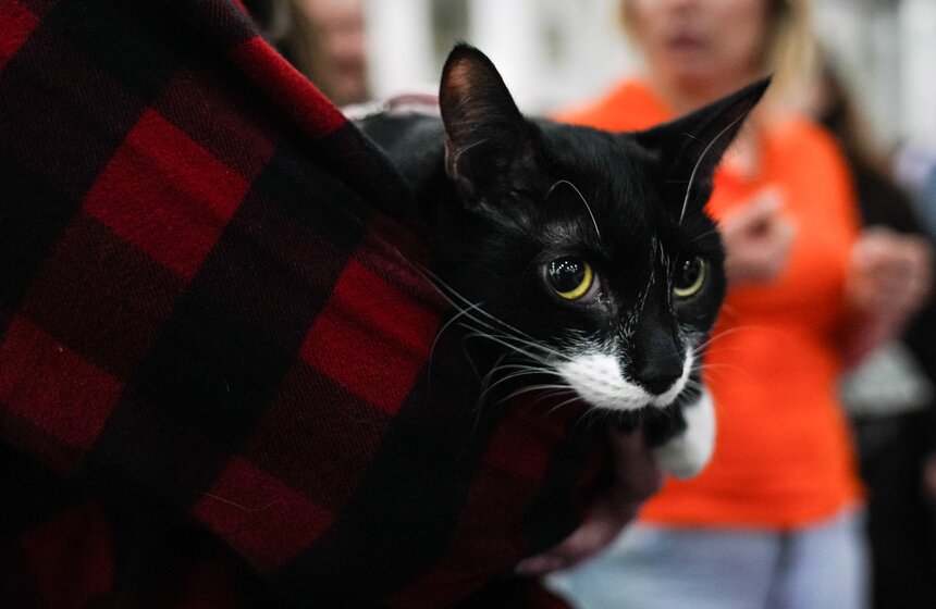 В "Крокус Экспо" прошел фестиваль "Зоофест 2026" 6 фото