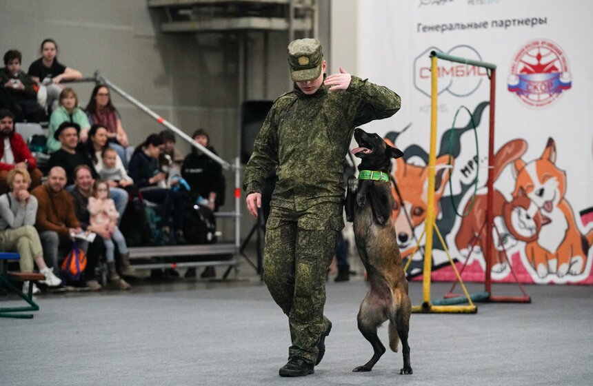 В "Крокус Экспо" прошел фестиваль "Зоофест 2026" 23 фото
