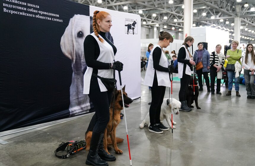 В "Крокус Экспо" прошел фестиваль "Зоофест 2026" 8 фото