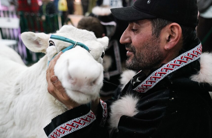 В "Крокус Экспо" прошел фестиваль "Зоофест 2026" 11 фото