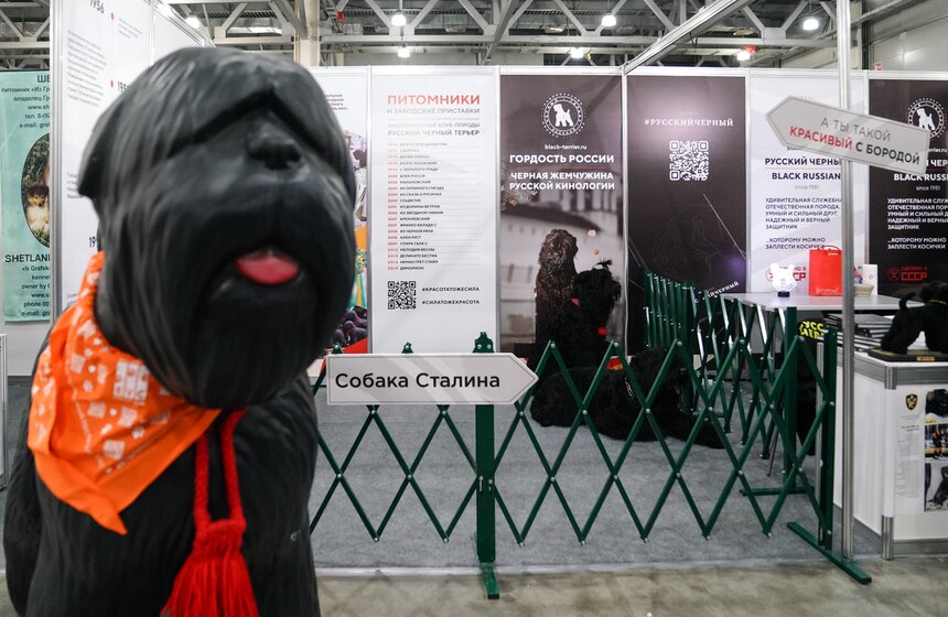 В "Крокус Экспо" прошел фестиваль "Зоофест 2026" 9 фото