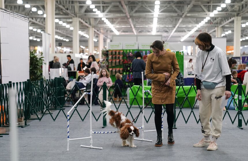 В "Крокус Экспо" прошел фестиваль "Зоофест 2026" 5 фото