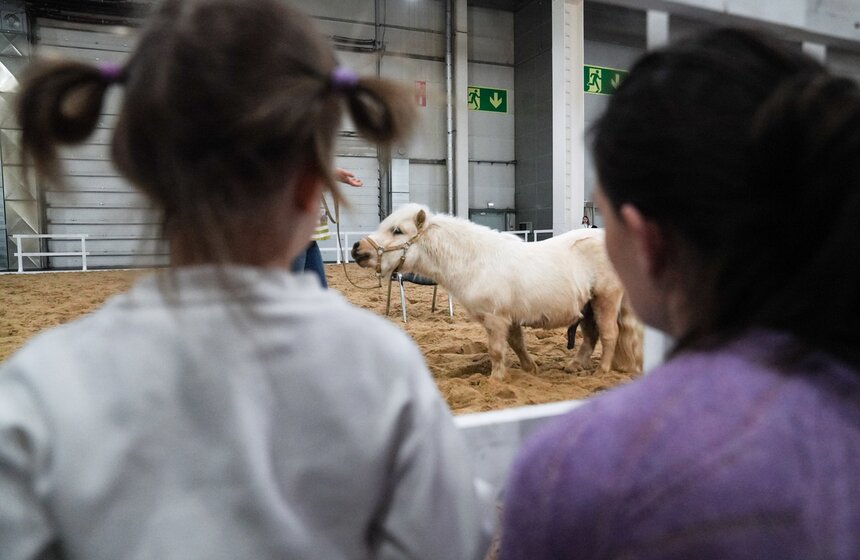 В "Крокус Экспо" прошел фестиваль "Зоофест 2026" 21 фото