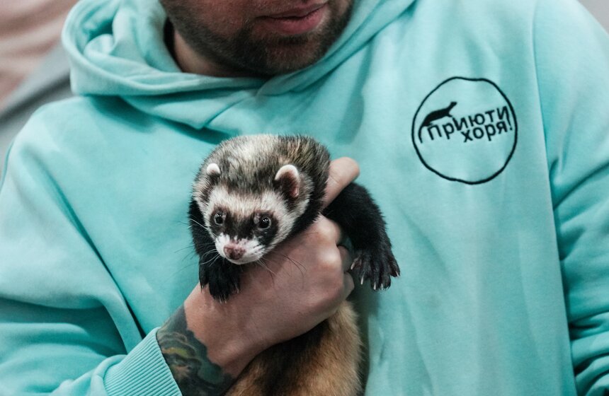 В "Крокус Экспо" прошел фестиваль "Зоофест 2026" 22 фото