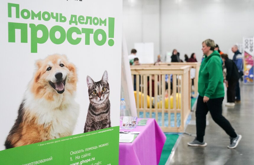 В "Крокус Экспо" прошел фестиваль "Зоофест 2026" 26 фото