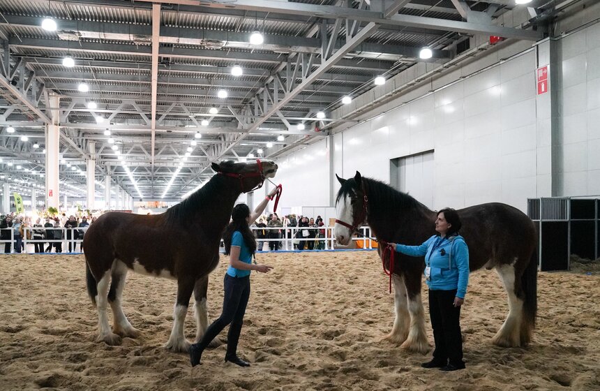 В "Крокус Экспо" прошел фестиваль "Зоофест 2026" 25 фото
