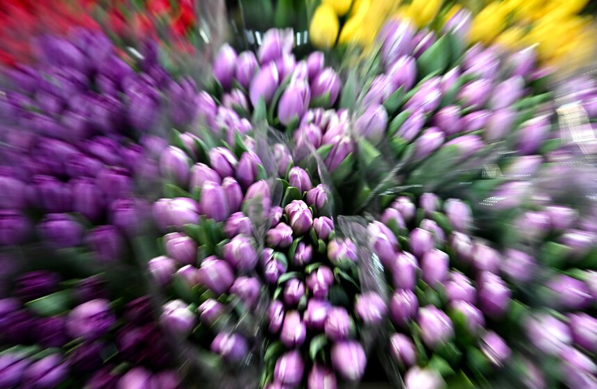 Цветочный ажиотаж охватил Рижский рынок в Москве 2 фото