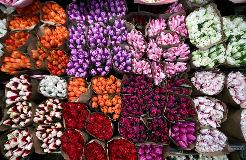 Цветочный ажиотаж охватил Рижский рынок в Москве 22 фото