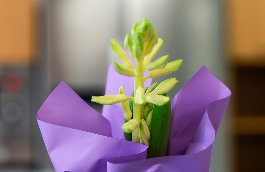 День красоты и стиля прошел в центрах "Московского долголетия" 15 фото