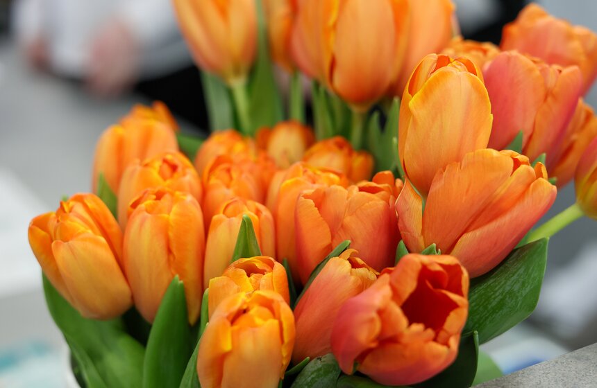 День красоты и стиля прошел в центрах "Московского долголетия" 31 фото