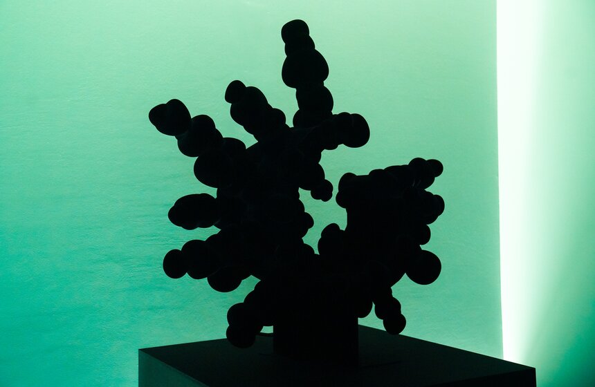 Вторая международная биеннале "Искусство будущего" открылась в Москве 19 фото