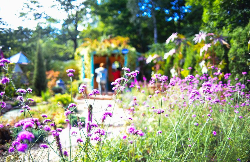 X фестиваль ландшафтного искусства в парке "Сокольники" продлится до 18 августа 9 фото