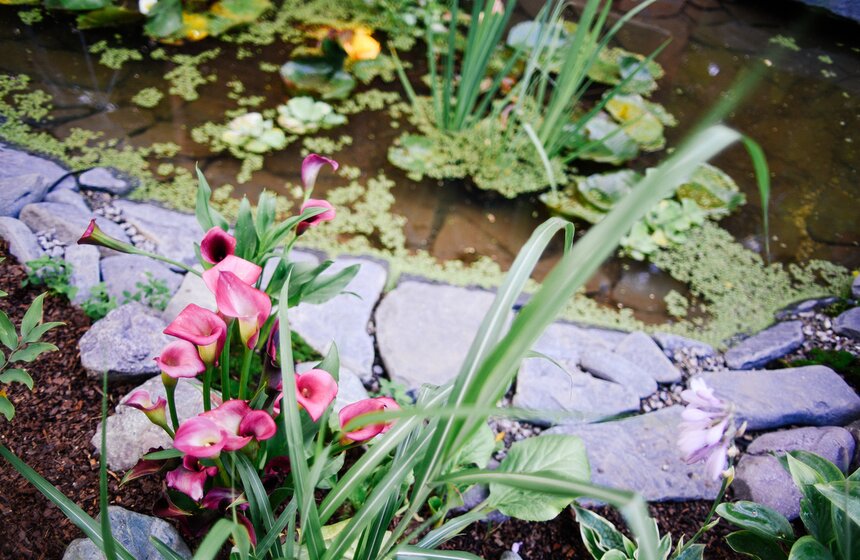 X фестиваль ландшафтного искусства в парке "Сокольники" продлится до 18 августа 8 фото