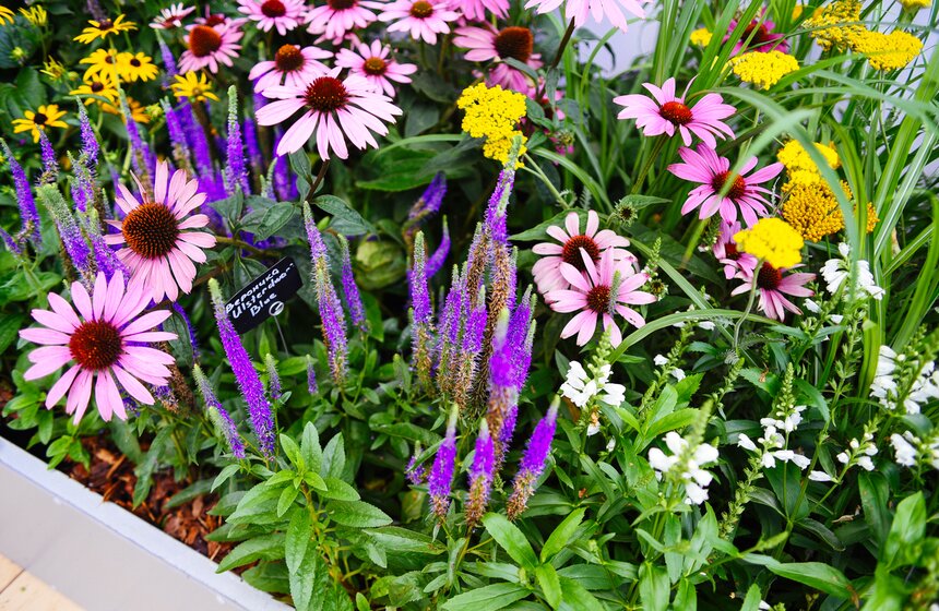 X фестиваль ландшафтного искусства в парке "Сокольники" продлится до 18 августа 4 фото