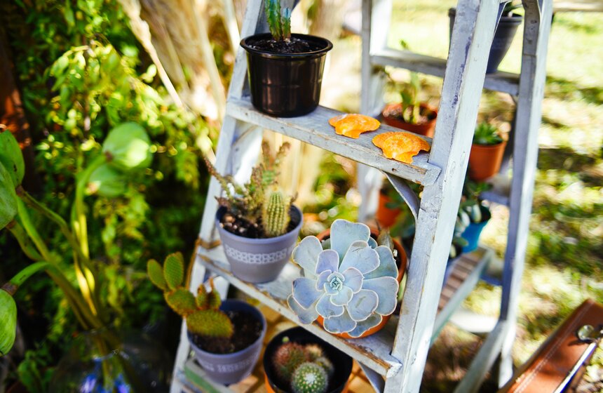 X фестиваль ландшафтного искусства в парке "Сокольники" продлится до 18 августа 13 фото