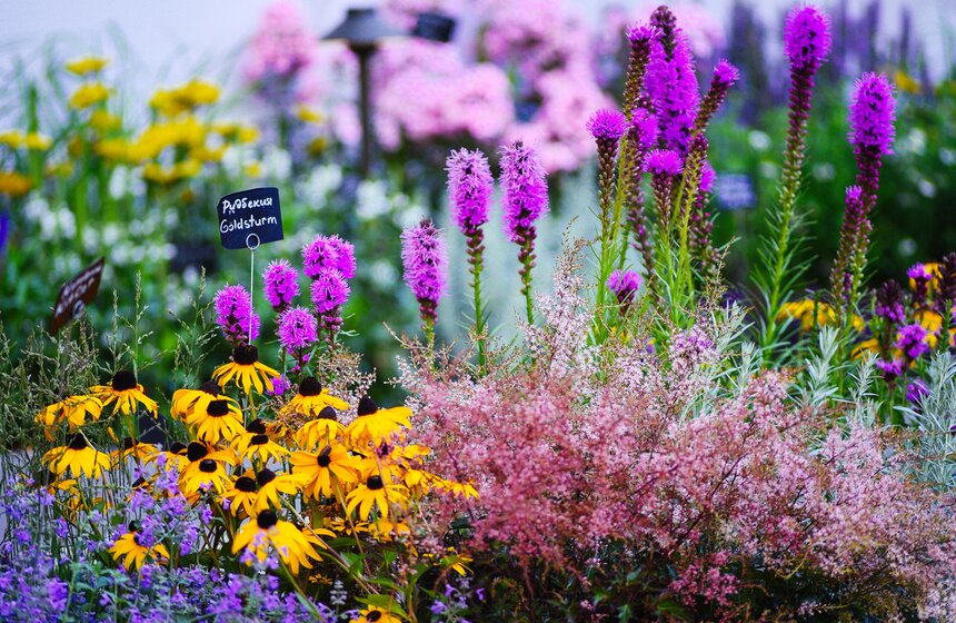 X фестиваль ландшафтного искусства в парке "Сокольники" продлится до 18 августа 24 фото