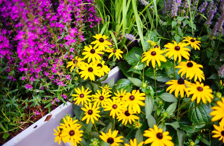 X фестиваль ландшафтного искусства в парке "Сокольники" продлится до 18 августа 17 фото