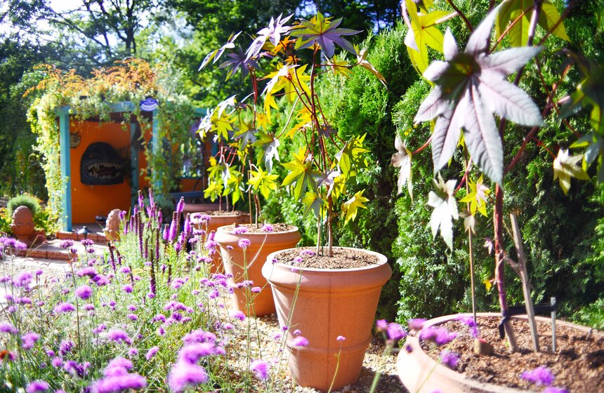 X фестиваль ландшафтного искусства в парке "Сокольники" продлится до 18 августа 21 фото