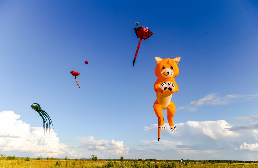 Фестиваль "Небо России" провели в Рязанской области 3 фото