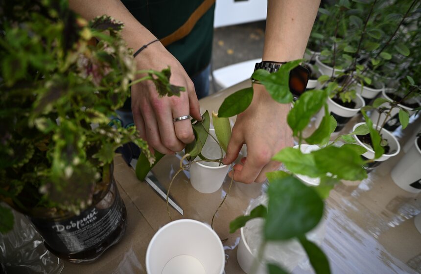 Музыкальный фестиваль "Солома" прошел в Москве 13 фото