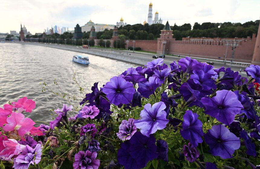 Цветочные композиции подготовили в рамках фестиваля дизайна "Лето в Москве. Сады и цветы" 28 фото