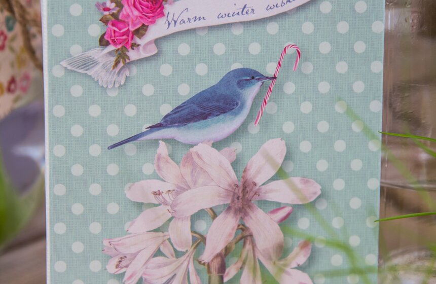 Москвичи сделали в "Сокольниках" скворечники для птиц 12 фото