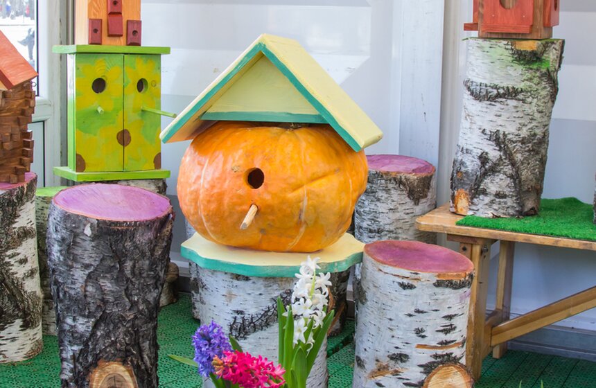 Москвичи сделали в "Сокольниках" скворечники для птиц 17 фото