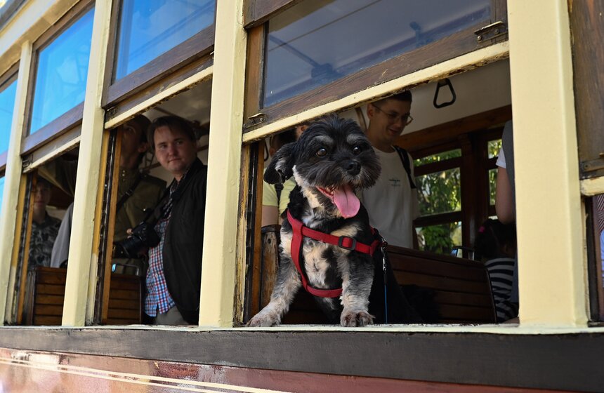 Более 150 тыс человек посетили парад трамваев в столице 20 фото