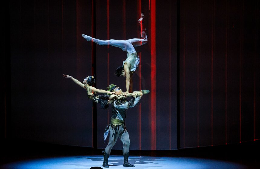 Спектакль "Лебединое озеро" Гуанчжоуской акробатической труппы состоялся в Москве 20 фото