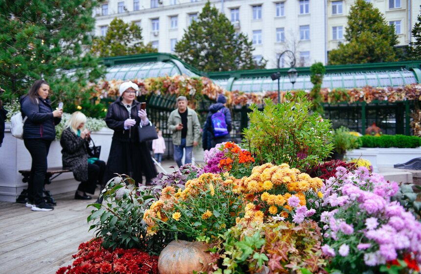 Фестиваль "Золотая осень. Праздник урожая" проходит в Москве 8 фото