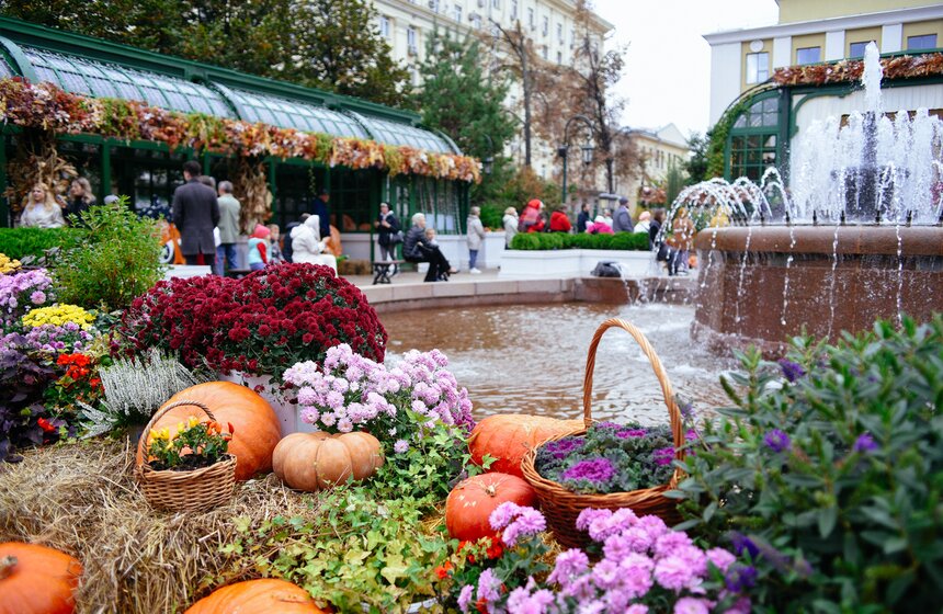 Фестиваль "Золотая осень. Праздник урожая" проходит в Москве 6 фото
