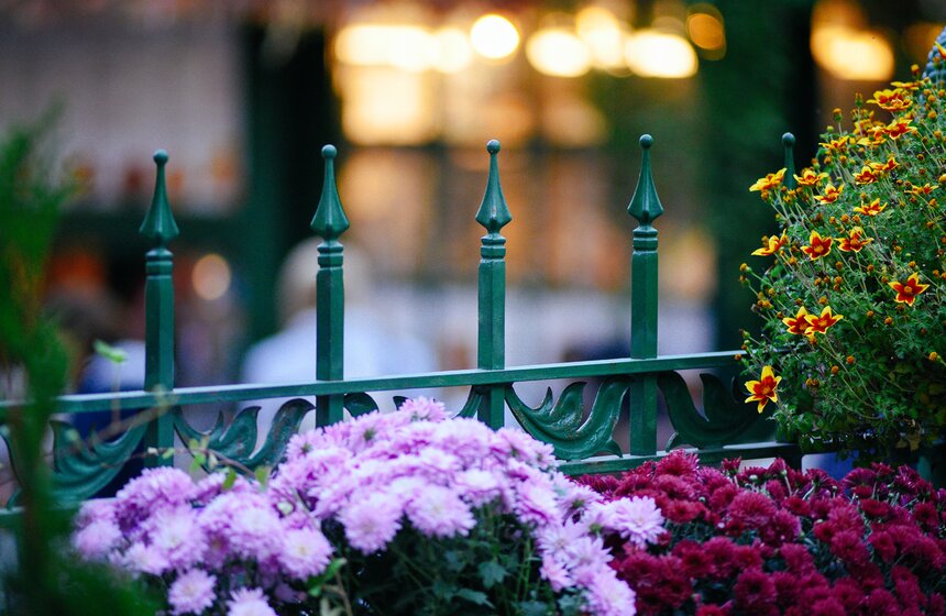 Фестиваль "Золотая осень. Праздник урожая" проходит в Москве 22 фото