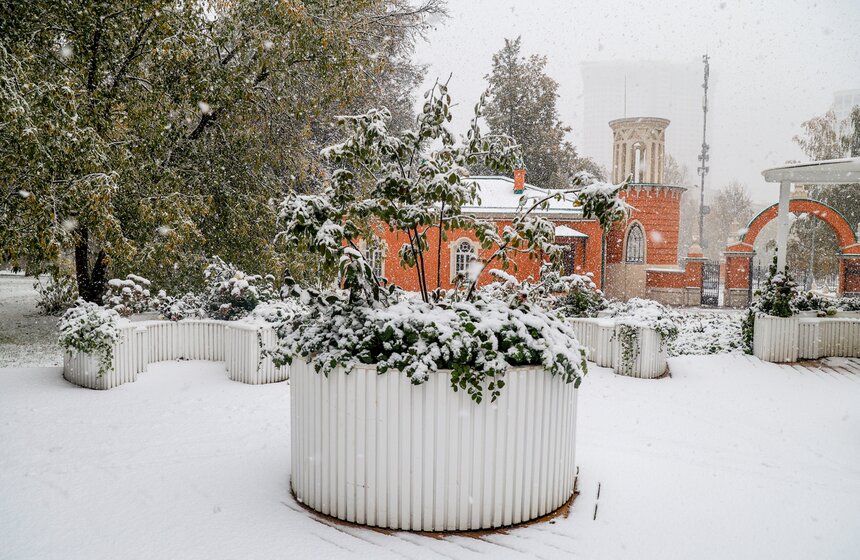 В Москве выпал первый снег 11 фото