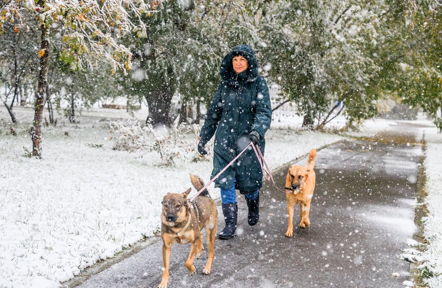 В Москве выпал первый снег 14 фото