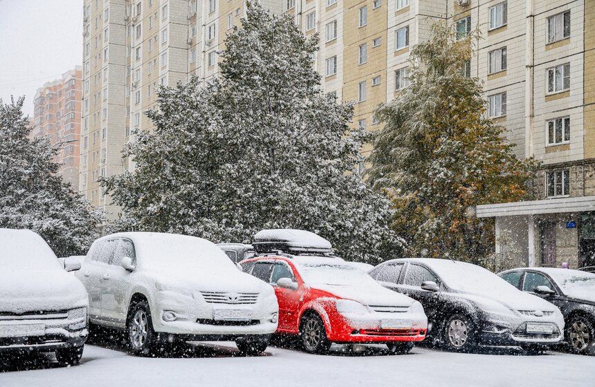 В Москве выпал первый снег 5 фото