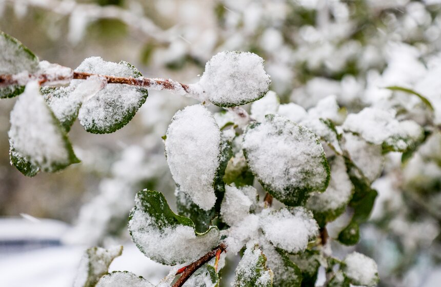 В Москве выпал первый снег 3 фото
