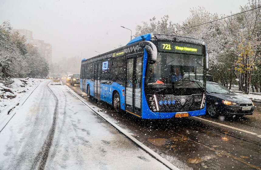 В Москве выпал первый снег 13 фото