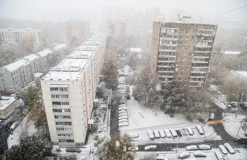 В Москве выпал первый снег 1 фото