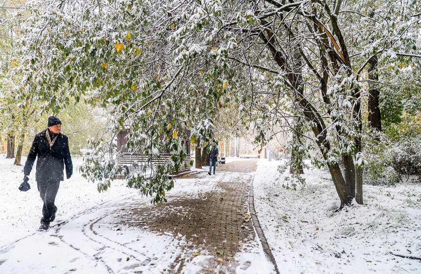 В Москве выпал первый снег 9 фото