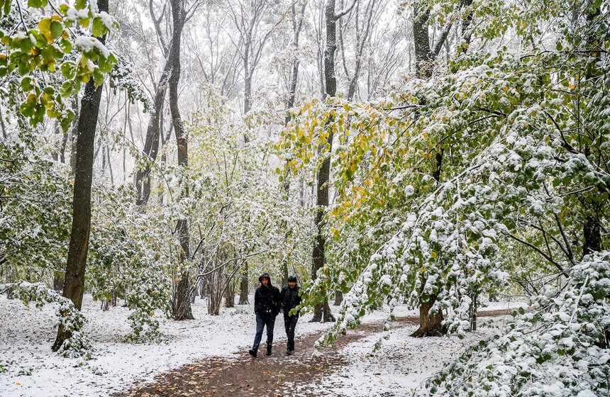 В Москве выпал первый снег 12 фото