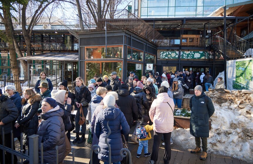 Выставка "Репетиция весны" пройдет в "Аптекарском огороде" с 2 по 17 марта 25 фото