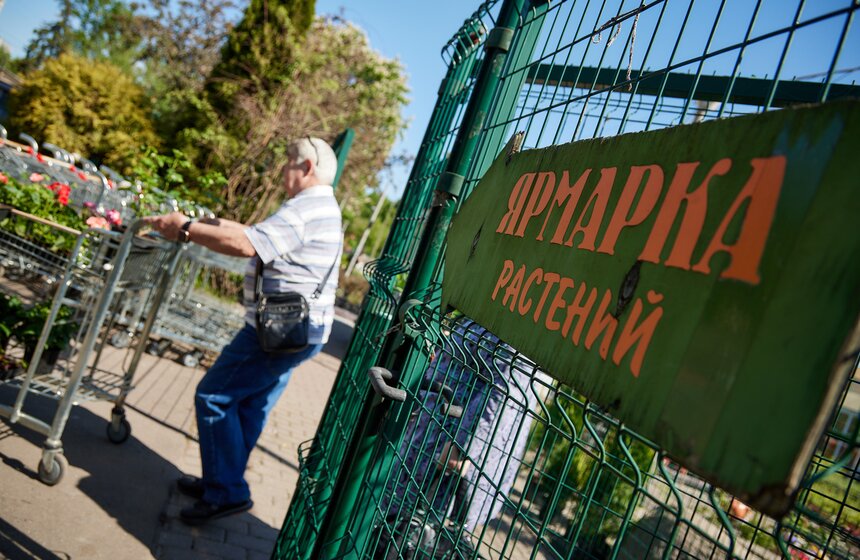 Порядка 23 млн растений подготовили к высадке на клумбы столицы 20 фото