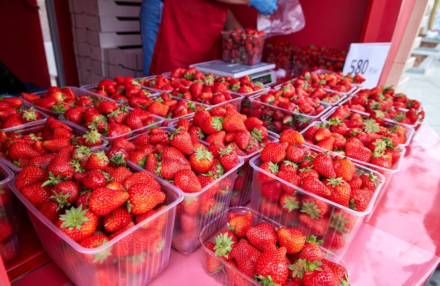 Сезонные точки продажи клубники открылись в столице 16 фото