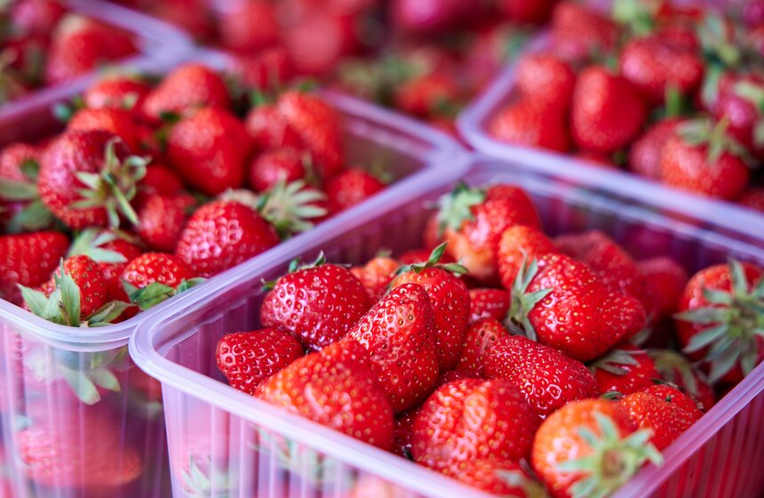 Сезонные точки продажи клубники открылись в столице 5 фото