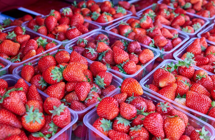 Сезонные точки продажи клубники открылись в столице 14 фото