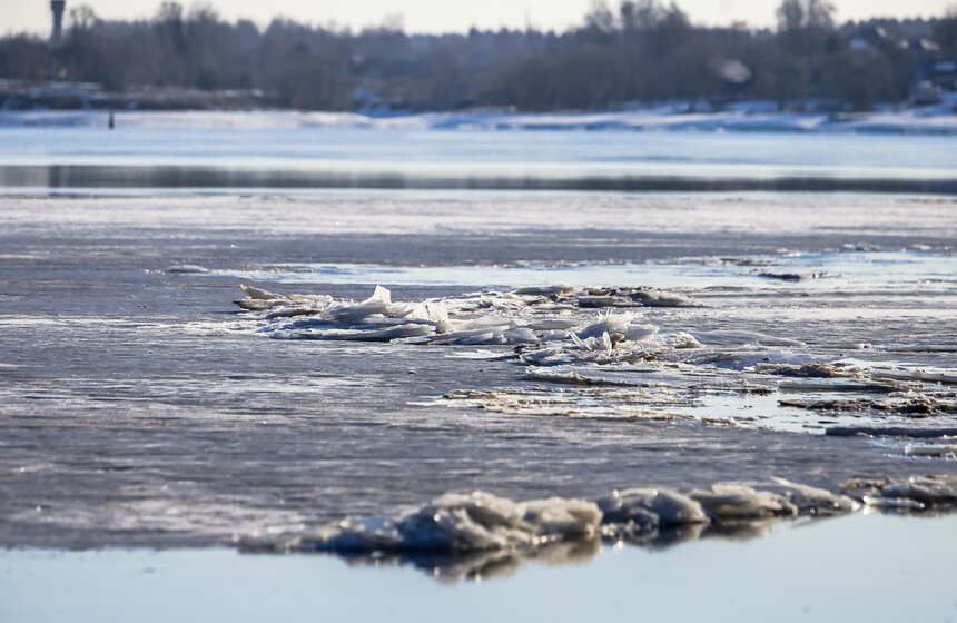Ранний ледоход прошел в Калязине у колокольни Николаевского Собора 11 фото